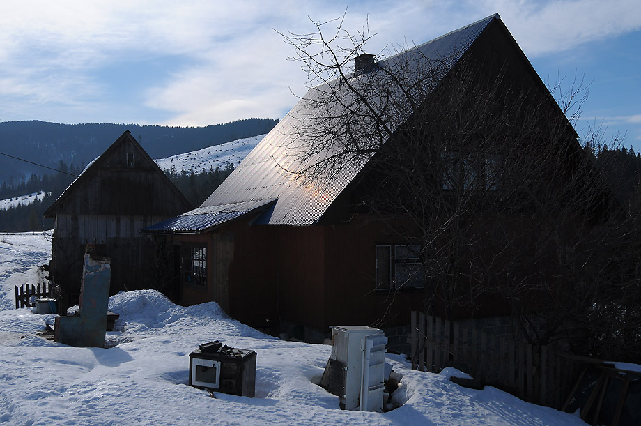 Na Hali Boraczej (Beskid Żywiecki)